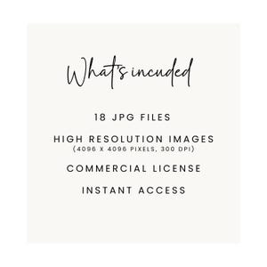 May include: A white background with black text that reads "What's included" followed by "18 JPG FILES", "HIGH RESOLUTION IMAGES (4096 X 4096 PIXELS, 300 DPI)", "COMMERCIAL LICENSE", and "INSTANT ACCESS".