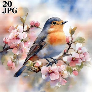 20 Spring Robin Clipart, Bird Clipart, Cute Bird Nursery, High Quality JPGs, Watercolor Clipart, Junk Journal, Digital Download, Paper Craft