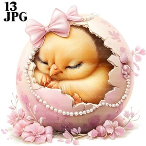13 卵の中にいるひよこのクリップアート、イースターのひよこ、イースター クリップアート、イースター エッグ、高品質 JPG、水彩クリップアート、ジャンク ジャーナル、デジタル ダウンロード