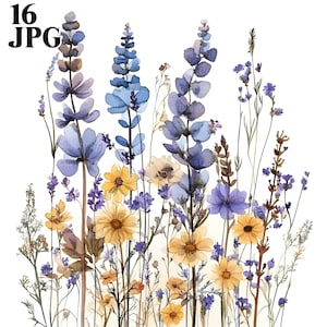 Geperste wilde bloemen bloem clipartbundel, 16 hoge kwaliteit jpg's, bloemen, kaarten maken, illustraties, Paper Craft, scrapbooking, digitale download