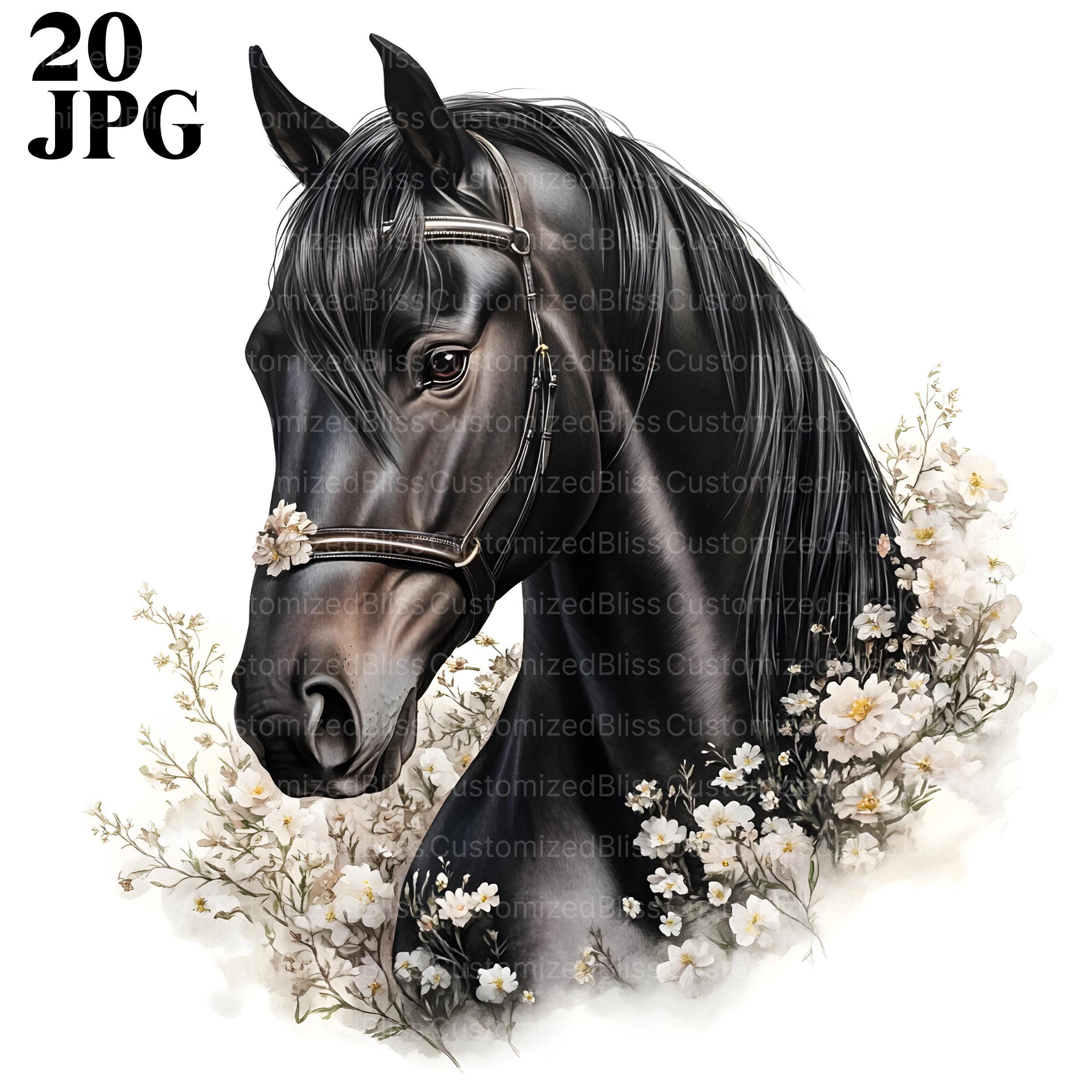 オマージュアート　黒馬 20種類の黒馬のクリップアート、馬の画像、かわいい動物のクリップ