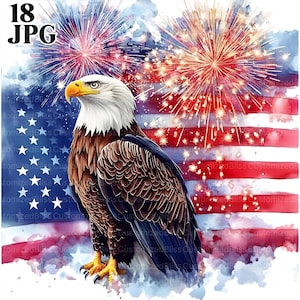 4 juillet Aigle Clipart, 18 fichiers JPG de haute qualité, 4 juillet Clipart, Clipart aquarelle de feux d'artifice, Junk Journal, téléchargement numérique, créations en papier