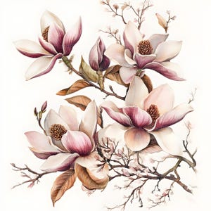 May include: Watercolor painting of a magnolia flower branch with delicate pink and white blossoms. The flowers are in full bloom and have a soft, romantic feel. The branches are brown and have a natural, rustic look.