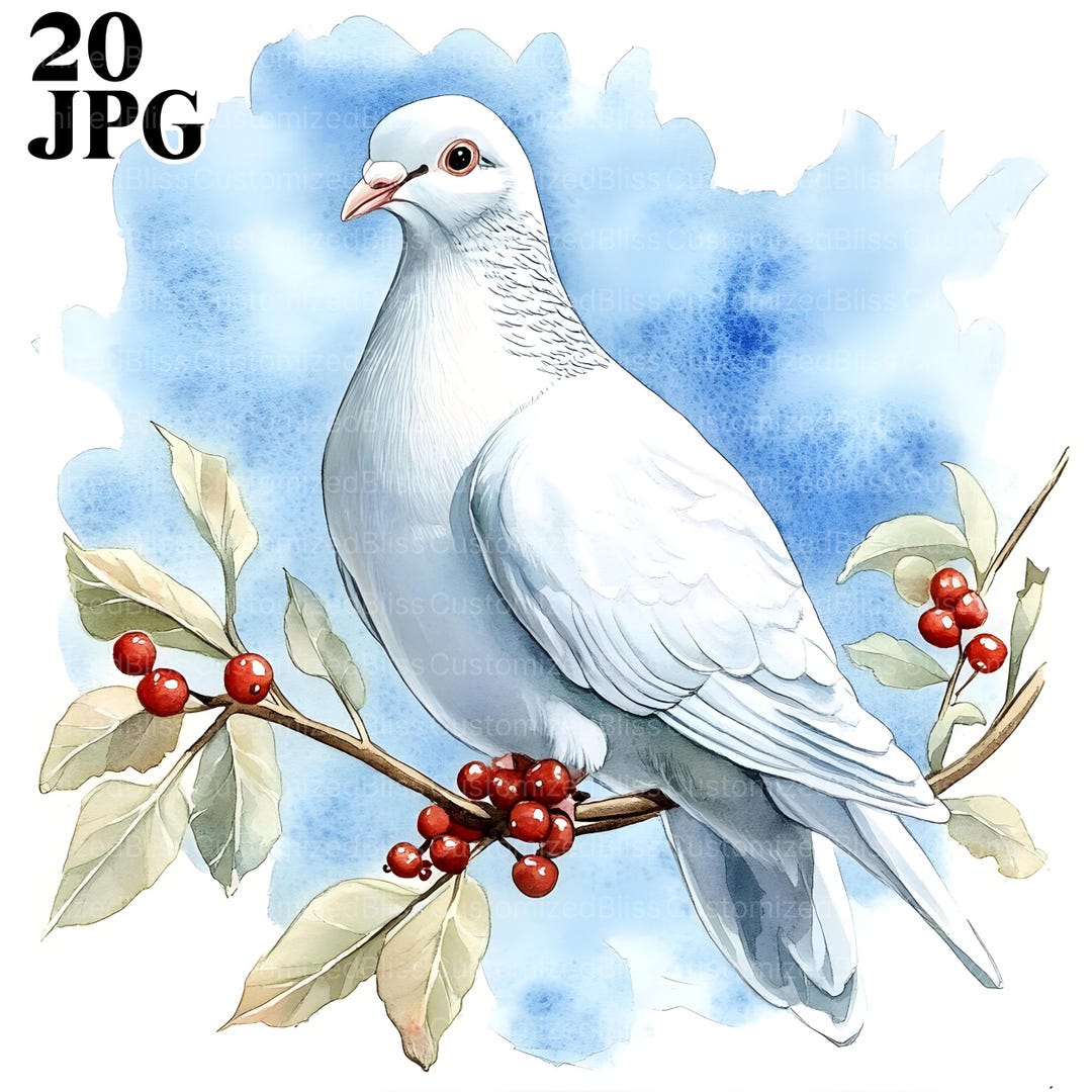 20 White Dove Clipart Peace Dove Bird Clipart High Quality JPG 20-white-dove-clipart-peace-dove-bird-clipart-high-quality-jpg