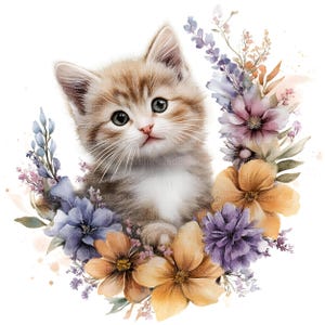 Pu&ograve; includere: Illustrazione ad acquerello di un gattino soffice circondato da una ghirlanda floreale. Il gattino ha un pelo marrone chiaro e bianco, con occhi blu-grigi. La ghirlanda presenta fiori arancioni, viola e blu con foglie verdi.