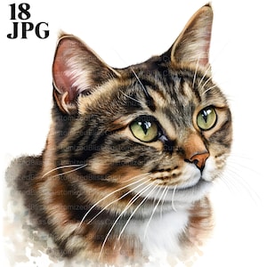 Puede incluir: Primer plano de un gato atigrado con ojos verdes. El gato mira hacia la derecha y tiene una mancha blanca en el pecho. El fondo es blanco suave con un efecto acuarela.