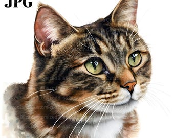 18 Tabby Cat Clipart, Cute Cat Clipart, Kitten Clipart, High Quality JPGs, Watercolor Clipart, Junk Journal, Digital Download, Paper Craft