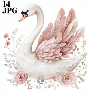 14 ボヘミアン白鳥クリップアート、抽象的な白鳥のイラスト、水彩画の白鳥、花柄の白鳥、ボヘミアン クリップアート、ジャンク ジャーナル、デジタル ダウンロード、クリップアート、JPG