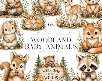 Forest Baby Animals Clipart, Woodland Clipart Bundle, Woodland Nursery Graphics, Woodland Creature Clipart, Baby Shower Decor, Scrapbook