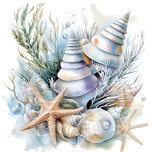 Op de afbeelding: Een aquarel schilderij van schelpen en zeesterren op een witte achtergrond. De schelpen zijn in tinten blauw, paars en wit, en de zeester is oranje. Er zijn ook wat groene zeewier en blauwe bellen op de achtergrond.