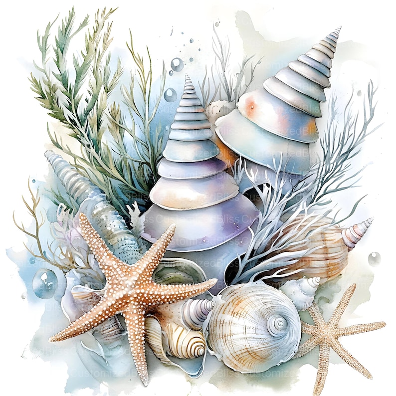 Op de afbeelding: Een aquarel schilderij van schelpen en zeesterren op een witte achtergrond. De schelpen zijn in tinten blauw, paars en wit, en de zeester is oranje. Er zijn ook wat groene zeewier en blauwe bellen op de achtergrond.