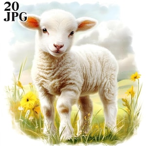 20 Spring Lamb Clipart, Farm Animal Clipart, Easter Clipart, Sheep Clipart, High Quality JPGs, Junk Journal, Digital Download, Paper Craft
