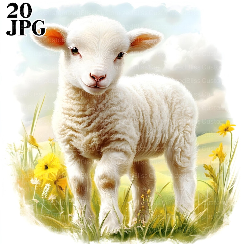 May include: A white lamb with fluffy fur stands in a field of yellow flowers. The lamb has a sweet expression on its face and is looking directly at the viewer.