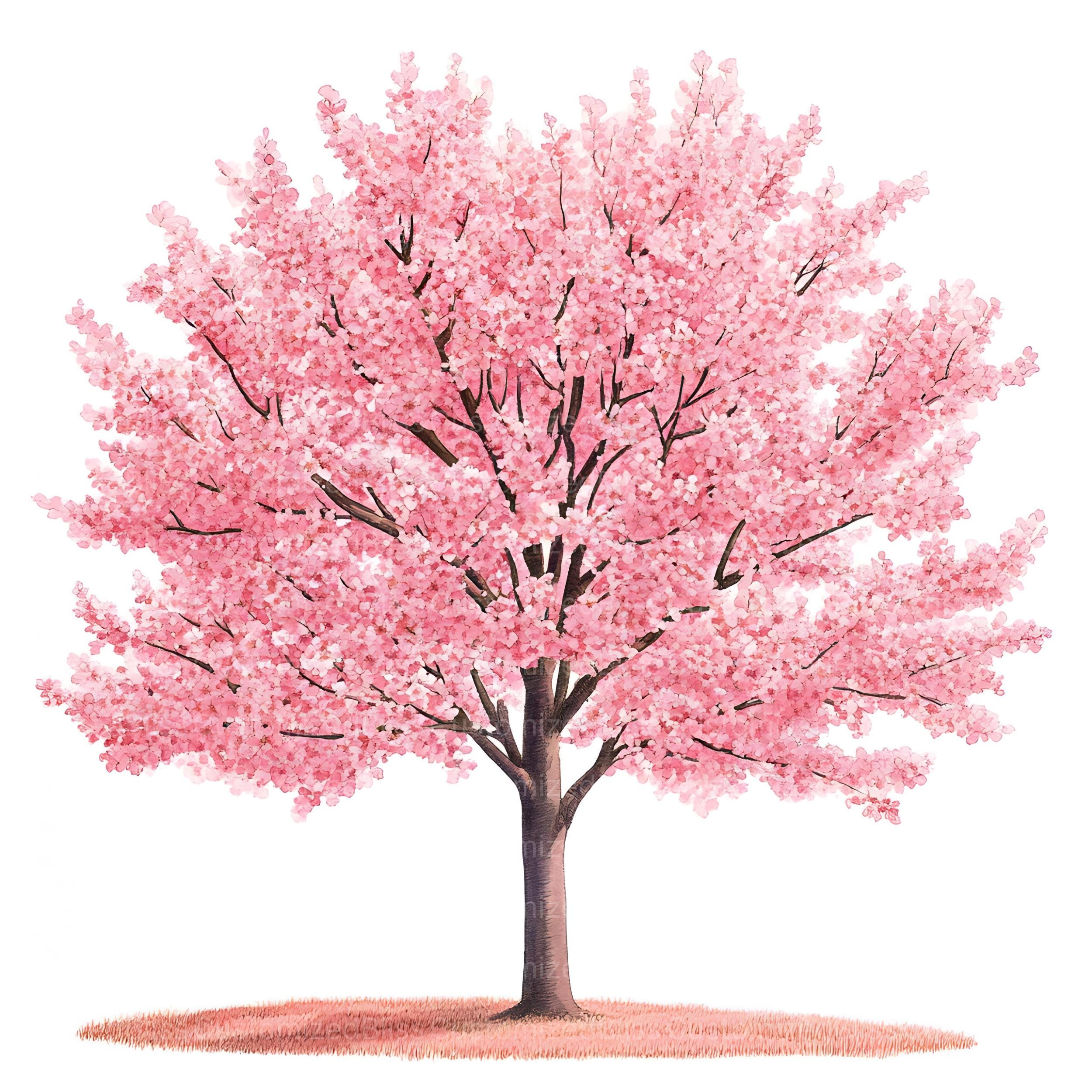 Tree In Spring Clipart Cherry Tree in Spring Clipart Bundle, 16 High Quality JPG, Tree Clipart ...