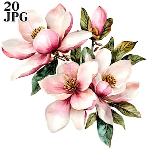 20 Pink Magnolia Clipart, Flower Clipart, Botanical Clipart, High Quality JPG, Watercolor Clipart, Junk Journal Digital Download Paper Craft