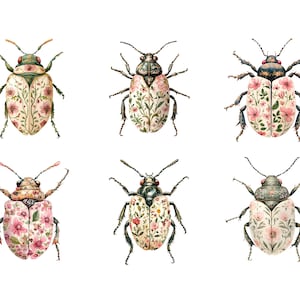 Pode incluir: Seis ilustra&ccedil;&otilde;es de aquarela de besouros com padr&otilde;es florais. Os besouros s&atilde;o brancos com flores cor-de-rosa e folhas verdes. Os besouros t&ecirc;m pernas e antenas pretas.