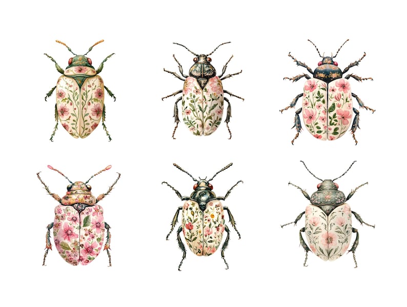 Pode incluir: Seis ilustra&ccedil;&otilde;es de aquarela de besouros com padr&otilde;es florais. Os besouros s&atilde;o brancos com flores cor-de-rosa e folhas verdes. Os besouros t&ecirc;m pernas e antenas pretas.