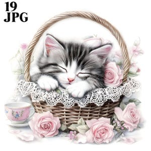 19 バスケットで眠る子猫のクリップアート、眠そうな猫、子猫のクリップアート、猫のクリップアート、みすぼらしいシック、花のクリップアート、花のクリップアート ジャンク ジャーナル JPG