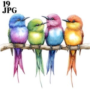 19 cliparts oiseaux colorés, clipart Robin, pépinière oiseau mignon, clipart Animal, JPG de haute qualité, Junk Journal, téléchargement numérique, créations en papier
