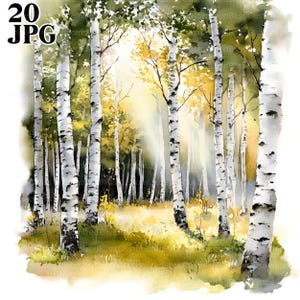 May include: Watercolor painting of a birch tree forest with white trunks and black markings. The forest floor is covered in yellow and green grass. The sun shines through the trees, creating a warm, inviting scene. The text "20 JPG" is in the upper left corner.