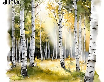 20 Clipart di betulle, Clipart di foreste di betulle, JPG di alta qualità, Clipart di acquerelli, Diario di spazzatura, Download digitale, Carta da parati, Stampabile