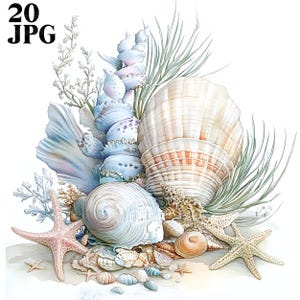 Schelp clipart, schelpen clipart, koraal clipart, oceaan clipart, 20 hoge kwaliteit jpg's, aquarel clipart, junk Journal, digitale download
