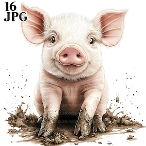 Puede incluir: Un lechón blanco con orejas rosadas y un hocico rosado está sentado en un charco de barro. El lechón está sonriendo y tiene sus patas delanteras en el barro.
