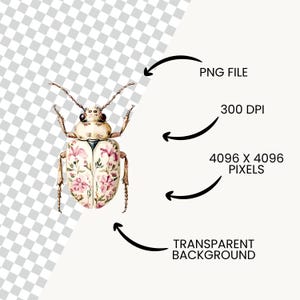 Pode incluir: Um besouro branco com padr&otilde;es florais rosa e branco nas suas asas. O besouro est&aacute; isolado sobre um fundo transparente.