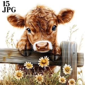 Clipart vache Highland bébé, 15 fichiers JPG de haute qualité, clipart animaux de la ferme, vache à imprimer, art de la chambre de bébé vache, journal indésirable, usage Commercial