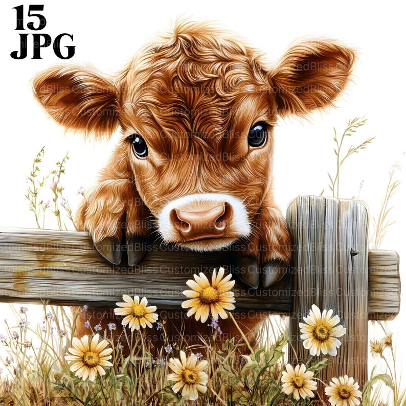 May include: A brown and white calf with curly hair peeks over a wooden fence. The calf has large, dark eyes and a sweet expression.  The fence is surrounded by a field of white daisies.