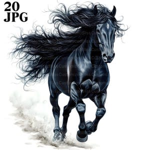 20 Friesen Clipart, Reiter Clipart, schwarzes Pferd Clipart, Friesisch Clipart, Pferde Grafik, Pferdeliebhaber, Digital Download, JPG