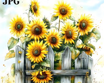 Könnte beinhalten: Ein Aquarellbild eines verwitterten Holzzauns mit einer Gruppe von Sonnenblumen, die davor wachsen. Die Sonnenblumen befinden sich in verschiedenen Blühstadien, einige sind vollständig geöffnet, andere noch in Knospen. Der Hintergrund ist ein sanfter blauer Himmel mit weißen Wolken.
