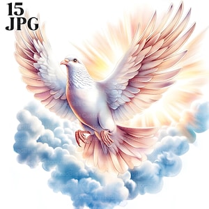 15 duif clipart, vreedzame clipart, vreedzame duif clipart bundel, spirituele duif kunst, afdrukbare duif, hoge kwaliteit jpg's, commercieel gebruik