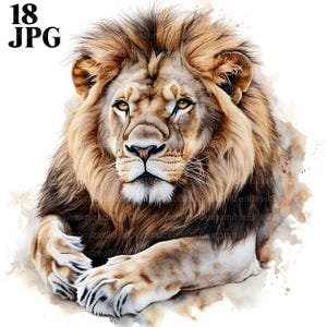18 Lion Clipart, Watercolor Lion, Cute Animal Clipart, High Quality JPGs, Watercolor Clipart, Junk Journal, Digital Download, Paper Craft