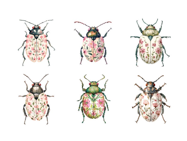 Pode incluir: Seis ilustra&ccedil;&otilde;es de aquarela de besouros com padr&otilde;es florais. Os besouros s&atilde;o brancos com desenhos florais rosa e verdes. Os besouros est&atilde;o todos voltados para a frente com as asas abertas.