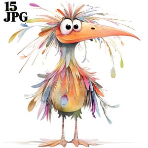 15 Whimsical Birds Clipart, Funny Birds, Cartoon Birds, Fluffy Birds, Digital Clipart, Watercolor Clipart High Quality JPG Printable Clipart