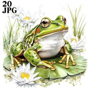 20 Clipart di rane verdi, Clipart di rospi, Rane acquerellate, JPG di alta qualità, Clipart di acquerelli, Diario spazzatura, Download digitale, Artigianato di carta