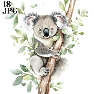 18 Koala On A Branch Clipart, Cute Koala Clipart, Koala Bear Clipart, Watercolor Clipart, Junk Journal, Digital Download, Paper Craft, JPG
