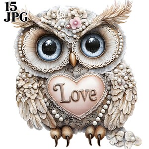 15 Coruja Clipart, Arte Decorativa de Coruja, Amor Clipart, Coração Clipart, Dia dos Namorados, JPGs de Alta Qualidade, Diário de Lixo, Download Digital, Pássaro