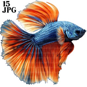 Betta Fisch Clipart Bundle, Betta Clipart, Betta Fisch Clip Art, Aquarell Fisch Clipart, 15 hochwertige JPG, Papiermodelle, Scrapbooking