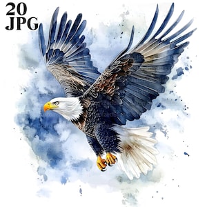 20 Adler Clipart, hochqualitative JPGs, Aquarell Clipart, Junk Journal, digitaler Download, Papier Handwerk, Weißkopfseeadler