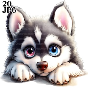 May include: A cartoon illustration of a husky puppy with blue and pink eyes. The puppy is lying on its belly with its paws tucked under its chin. The puppy has a white chest and a black and gray coat.