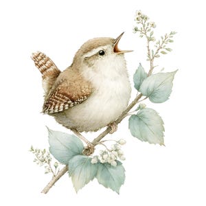 Könnte beinhalten: Aquarellillustration eines kleinen Vogels mit braunen und weißen Federn, der auf einem Ast mit hellgrünen Blättern und weißen Blüten sitzt. Der Vogel hat den Schnabel geöffnet, als würde er singen.