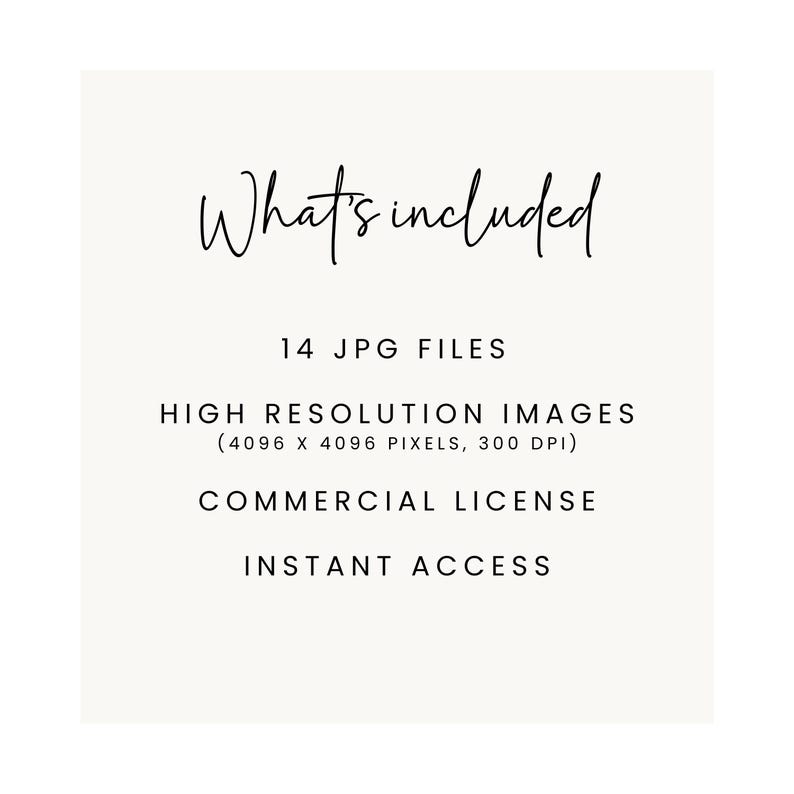 Pu&ograve; includere: Una grafica color crema con le parole "What's included" in un font scritto a mano. Sotto, elenca "14 JPG FILES", "HIGH RESOLUTION IMAGES (4096 X 4096 PIXELS, 300 DPI)", "COMMERCIAL LICENSE" e "INSTANT ACCESS".