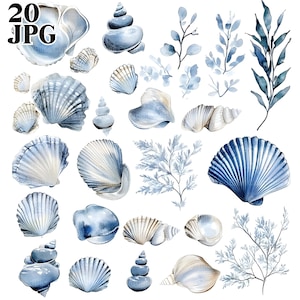 20 Sea Shells Clipart, Coastal Botanical Seashells, High Quality JPGs, Watercolor Clipart, Junk Journal, Digital Download, Paper Craft