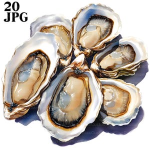 20 Oysters Clipart, Seafood Clipart, High Quality JPGs, Watercolor Clipart, Junk Journal, Digital Download, Paper Craft, Printable Clip Art