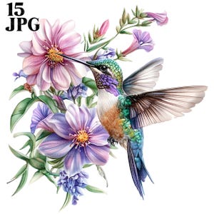 Pacchetto di clipart di colibrì su un fiore di orchidea, clipart di colibrì, clipart di uccelli, 15 JPG di alta qualità, creazione di biglietti, scrapbooking, artigianato di carta
