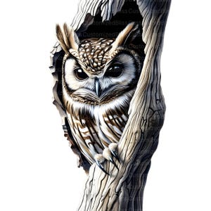 May include: A brown and white owl with large, dark eyes peeks out from a tree trunk. The owl's feathers are detailed and realistic, and its sharp talons are visible.