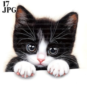 May include: A black and white kitten with big blue eyes peeks over a white surface. The kitten has white paws and a white patch on its chest.