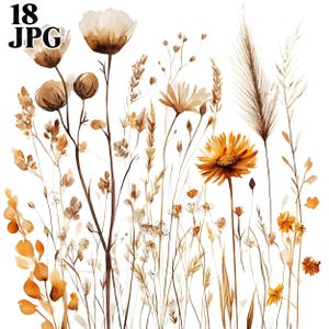 18 Clipart fleurs bohèmes, herbe de la pampa, Clipart fleurs séchées, Clipart aquarelle, Junk Journal, téléchargement numérique, créations en papier, JPG